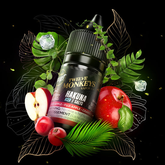 Flavour Beast X Twelve Monkey&